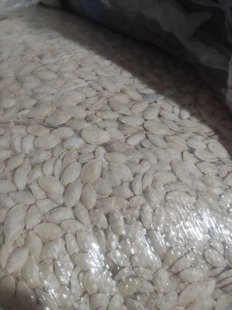 لوبیا چیتی و قرمز و تخمه کدو از مزرعه حذف واسطه|خوردنی و آشامیدنی|شیراز, آزادی|دیوار