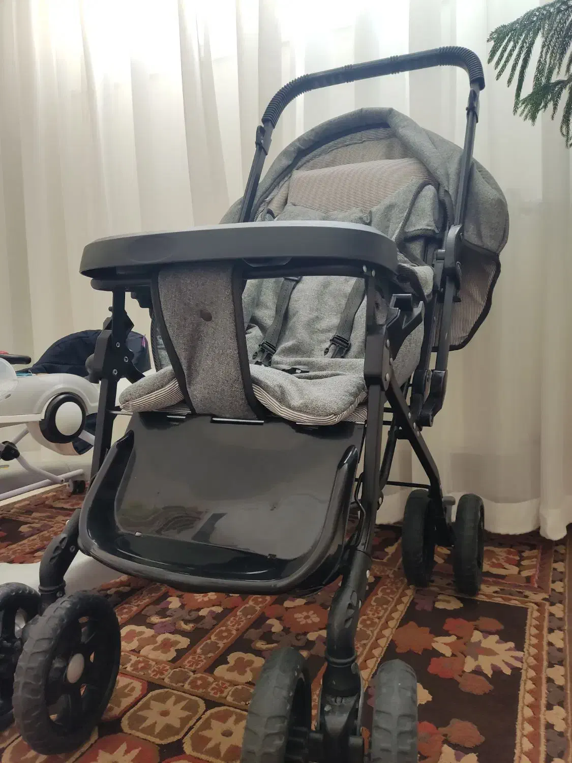 دلیجان کالسکه و روروئک|کالسکه و لوازم جانبی|سهند, |دیوار