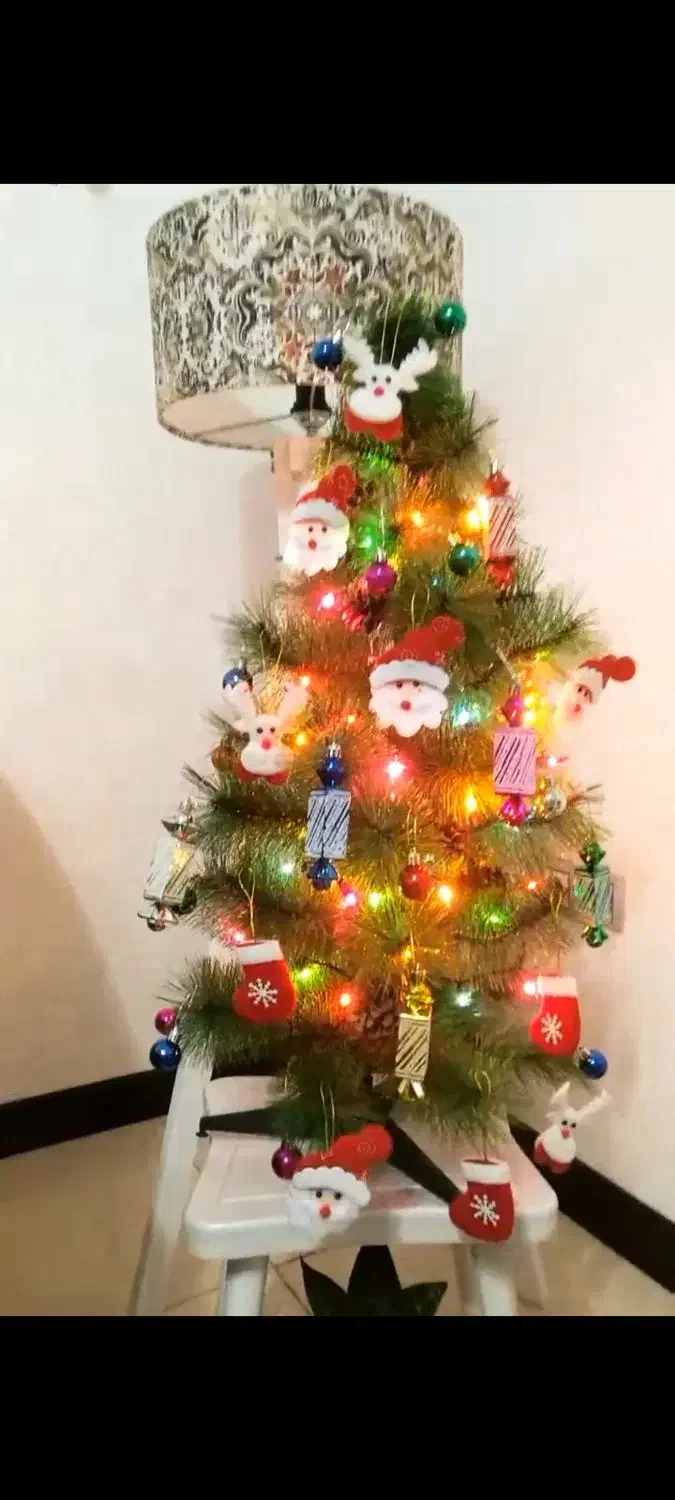 درختچه  مصنوعی کاج|گل مصنوعی|شیراز, شهرک مدرس|دیوار