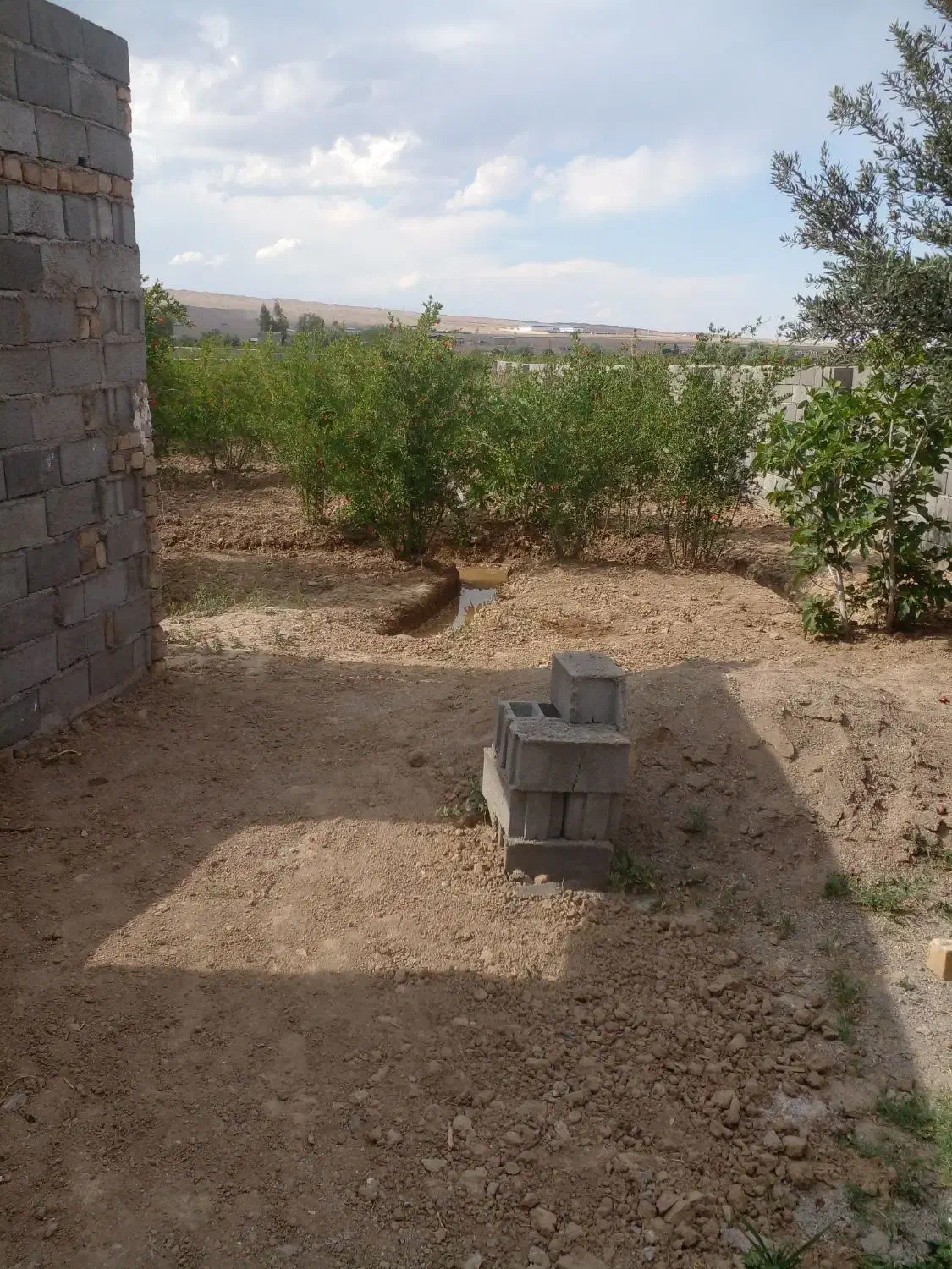 باغچه چهار دیواری|فروش خانه و ویلا|تهران, شهرک شریفی|دیوار