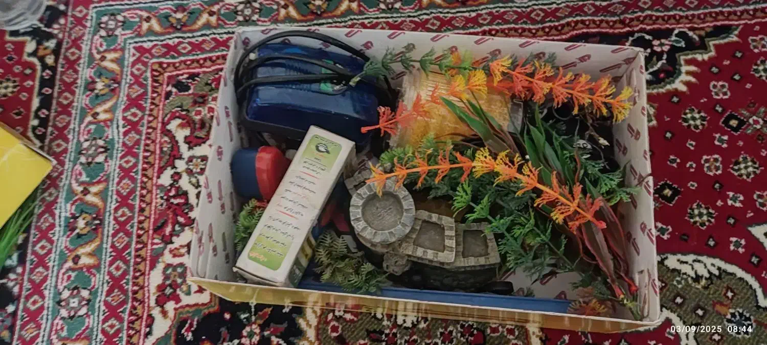 فروش آکواریوم با کلیه وسایل|ماهی|شهرکرد, |دیوار