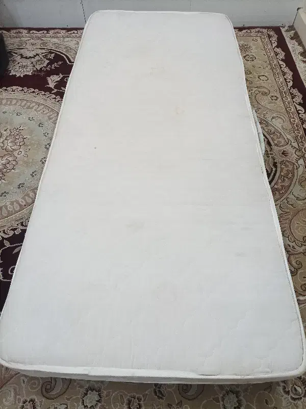 اثاث|فعالیت داوطلبانه|بوشهر, |دیوار