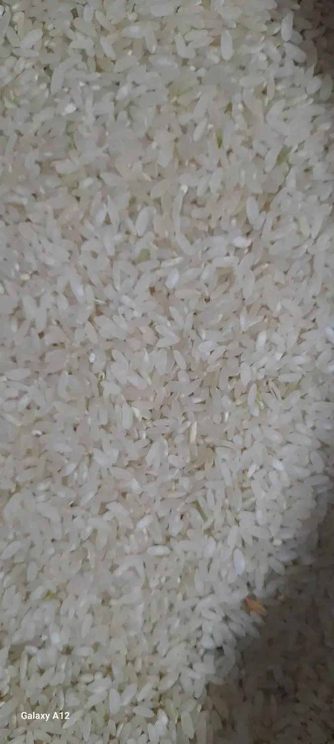 برنج کامفیروزی درجه یک به شرط پخت|خوردنی و آشامیدنی|مرودشت, علی‌آباد‎|دیوار