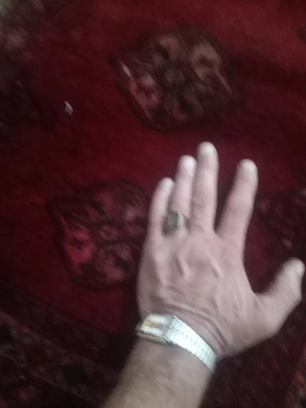 ۱۲۰۰۰۰۰۰۰۰|فرش|نورآباد, |دیوار