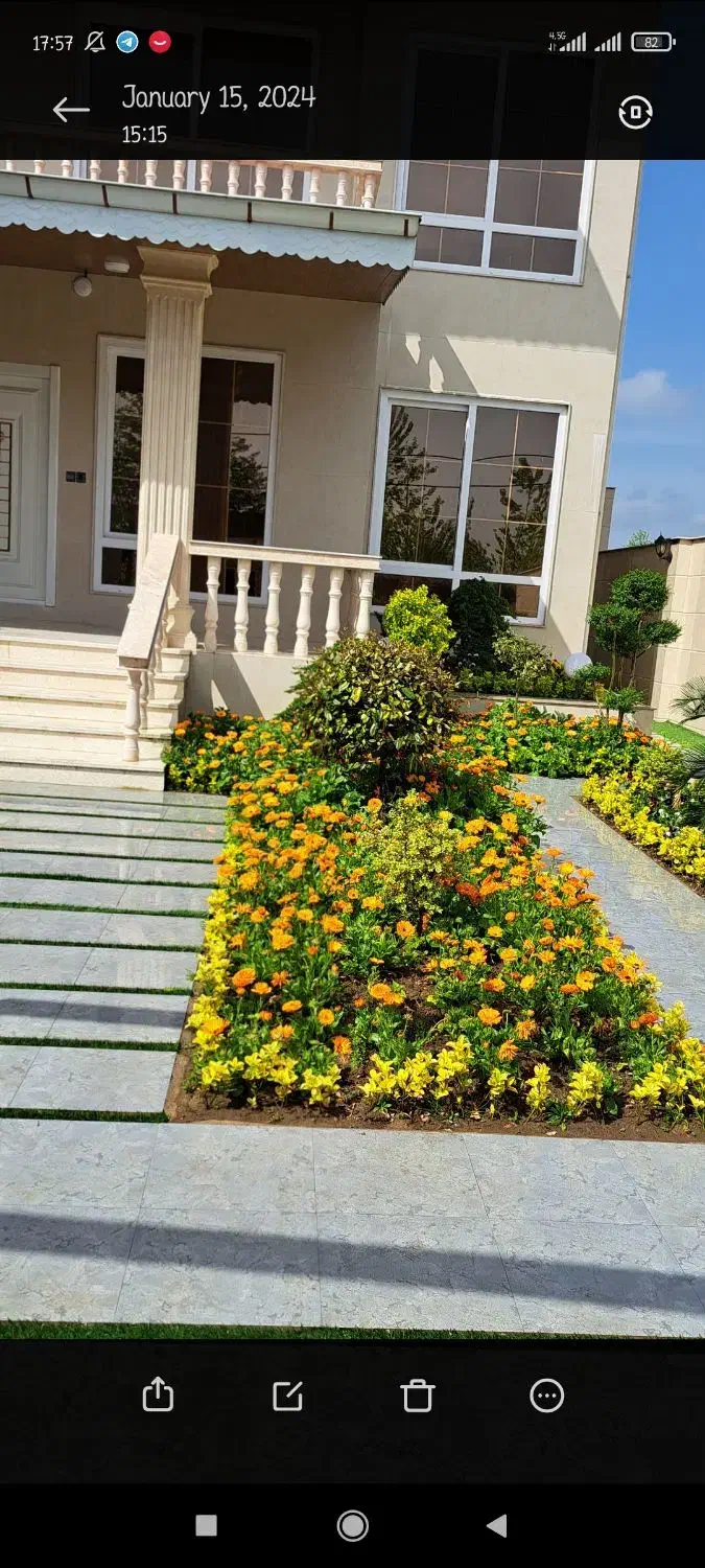 کلیه امور محوطه سازی و باغبانی|خدمات پیشه و مهارت|بندر انزلی, گیلار|دیوار