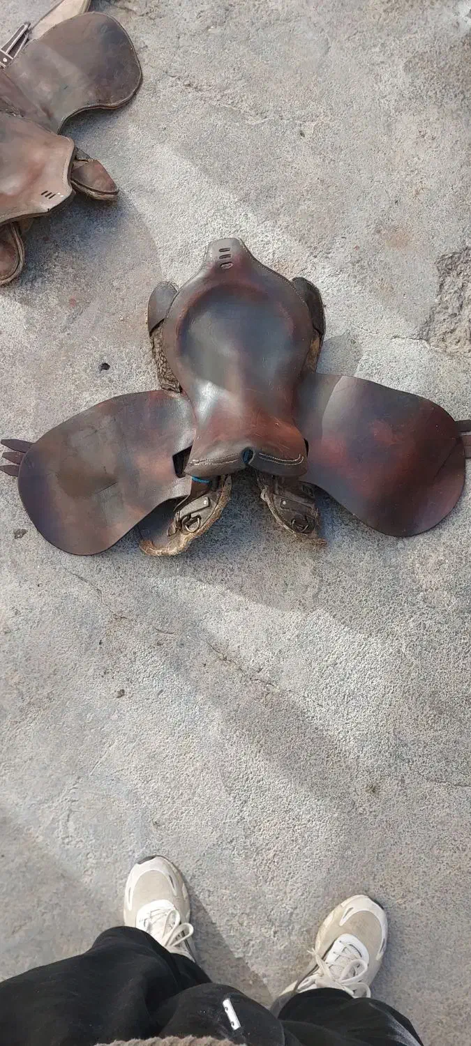 زین اسب|اسب و تجهیزات اسبسواری|بوکان, |دیوار