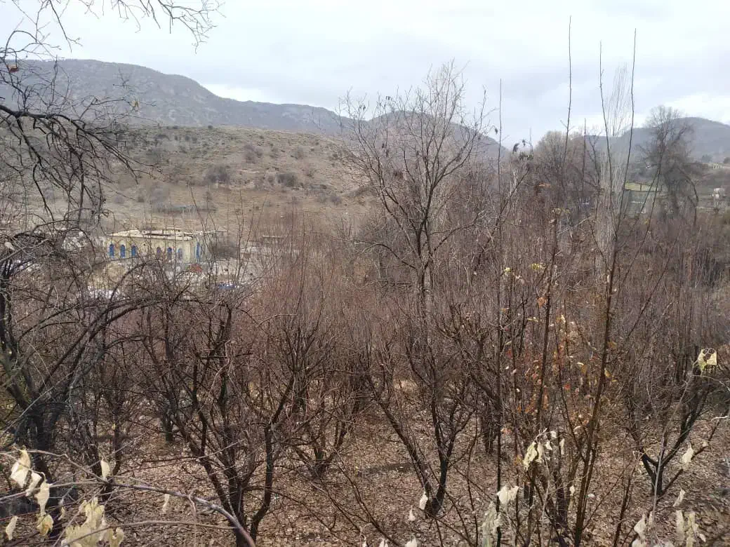 باغ|فروش زمین و ملک کلنگی|سی‌سخت, |دیوار