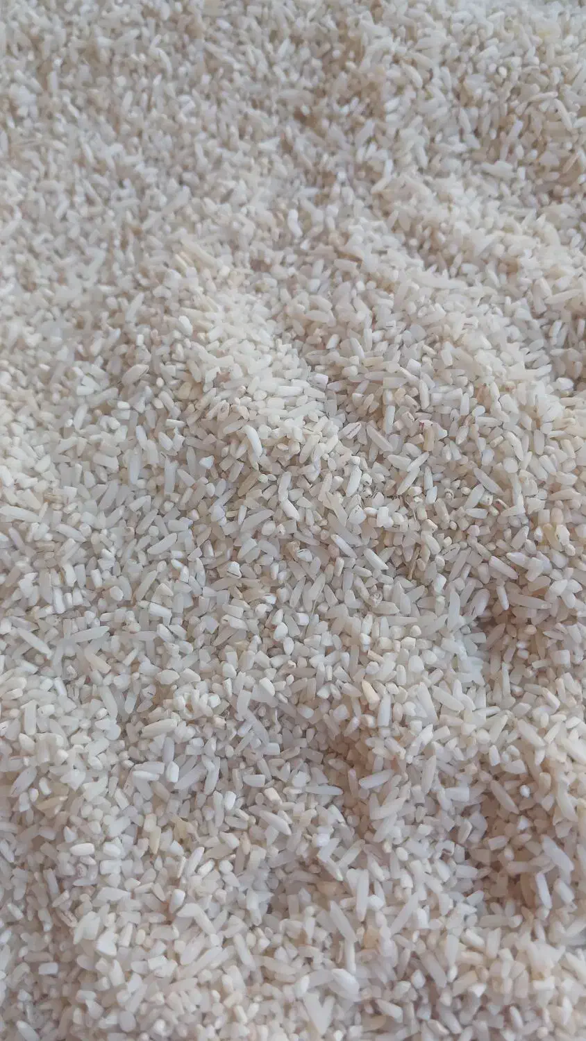 برنج هاشمی|خوردنی و آشامیدنی|رشت, عینک|دیوار