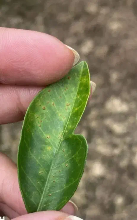 روز حسابدار|فعالیت داوطلبانه|ساری, |دیوار