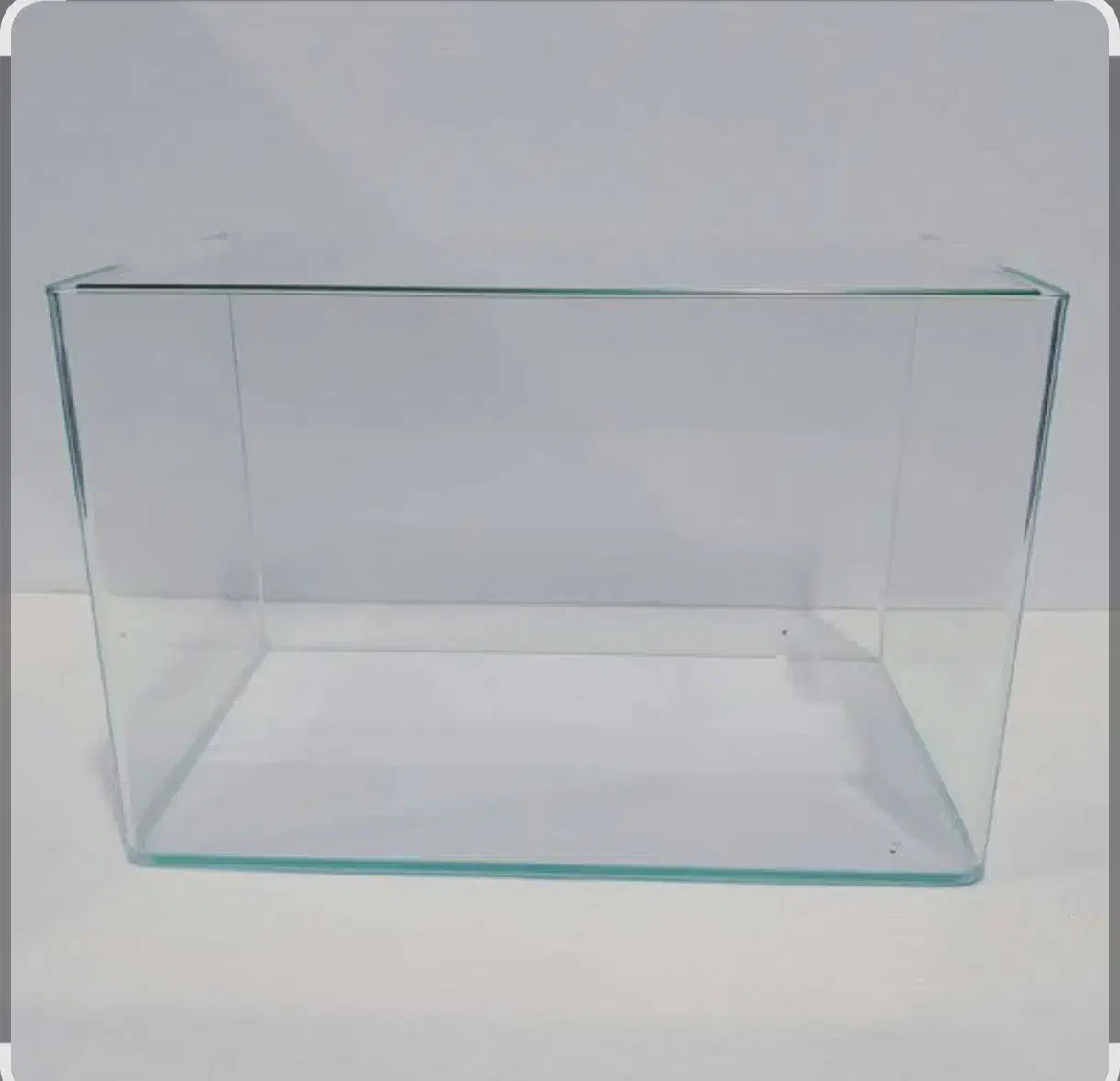 آکواریوم|ماهی|بندر گناوه, |دیوار