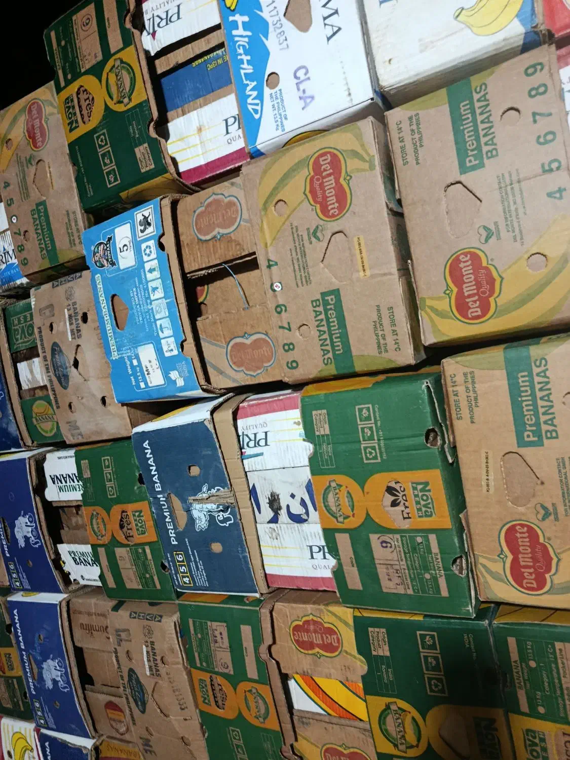 فروش کارتن موزی هر تعداد بخواین|عمده‌فروشی|بندرعباس, |دیوار