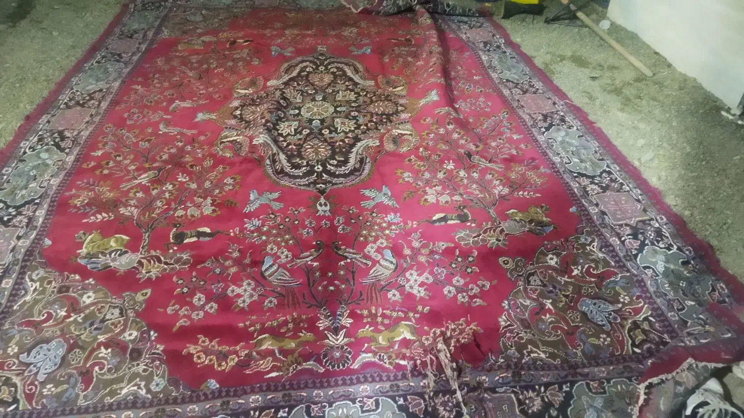 فرش 12 متری درحدنو|فرش|کوهدشت, |دیوار