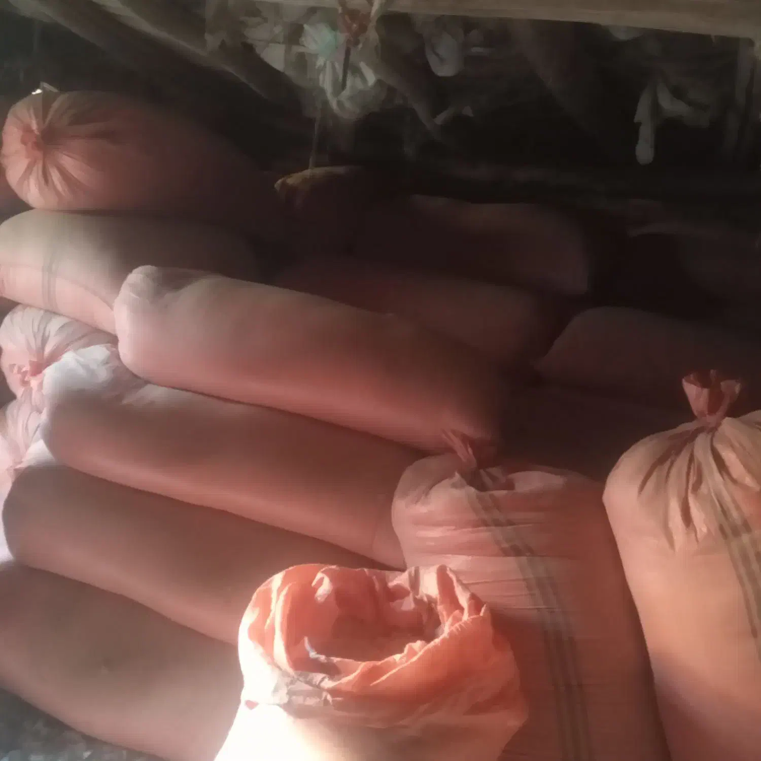 کاه دیم گندم ، درجه یک|لوازم جانبی حیوانات|صالح آباد (خراسان), |دیوار