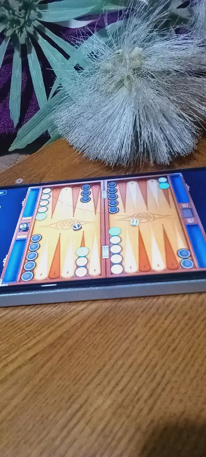 گوشی و دیگر لوازم منزل بعلت مهاجرت|موبایل|مشهد, نوده|دیوار