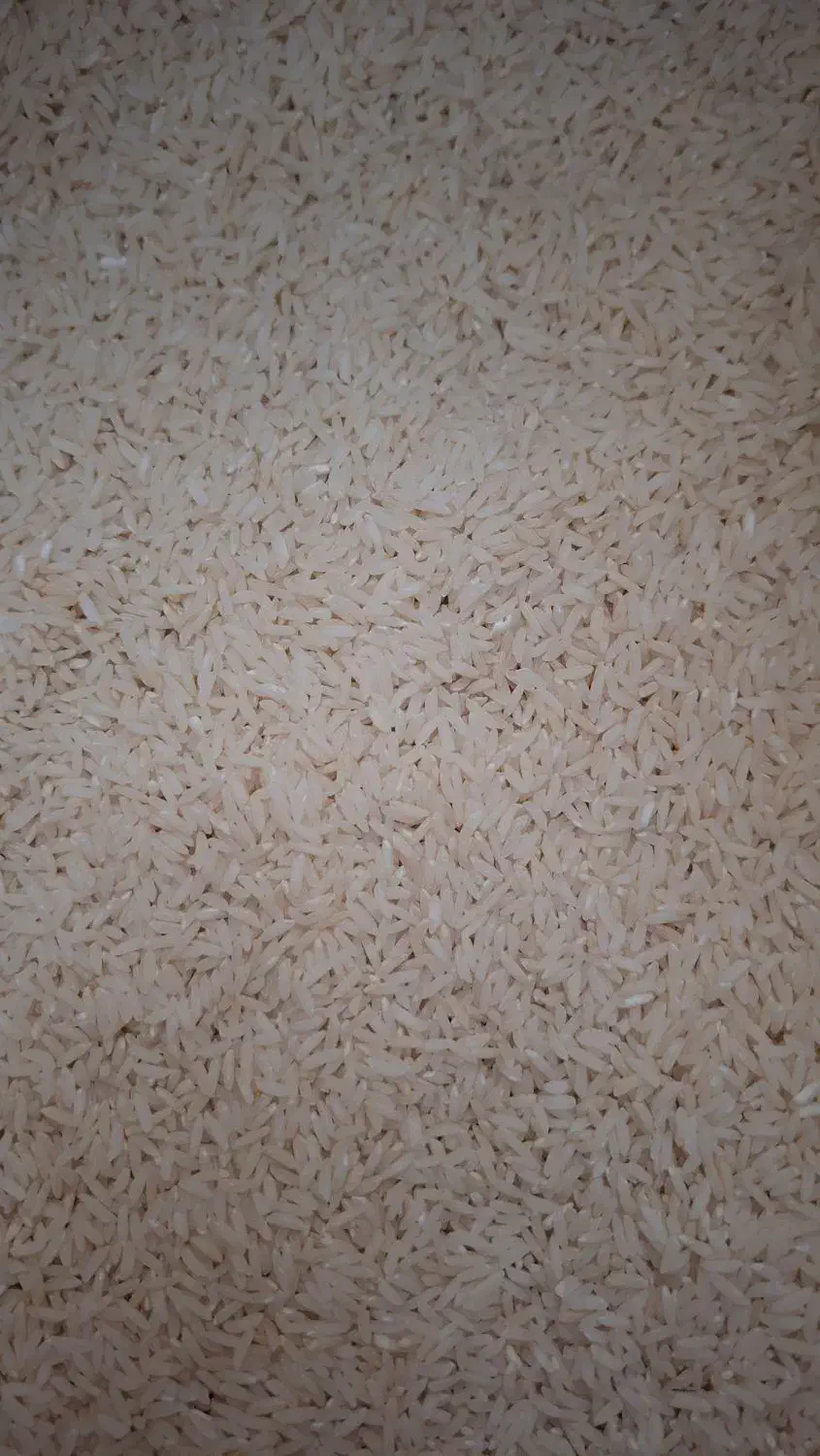 فروش برنجطلارم محلی (سنگه طارم)مازندران|خوردنی و آشامیدنی|کیش, |دیوار