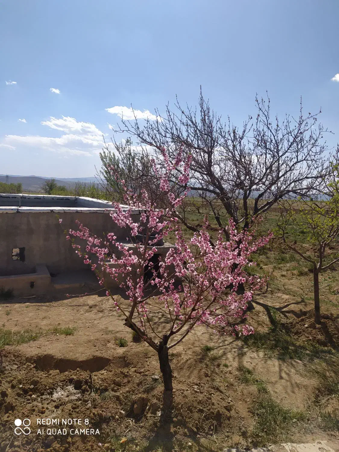 مغازه در عوارضی زنجان قزوین|اجارهٔ مغازه و غرفه|زنجان, |دیوار