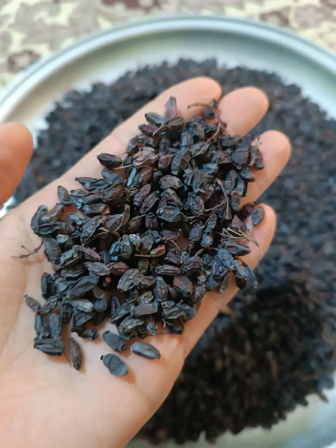 زرشک خشک کوهستان|خوردنی و آشامیدنی|ورامین, ورامین|دیوار