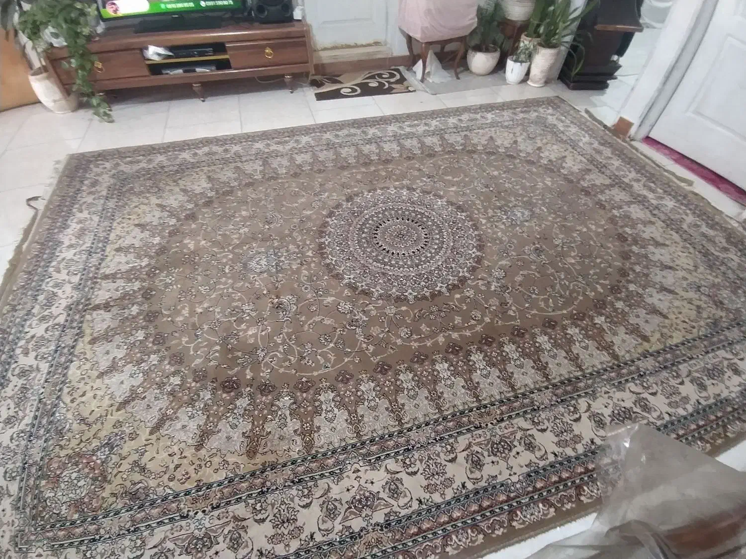 فرش  ۹ متری|فرش|پاکدشت, پاکدشت (مامازند)|دیوار