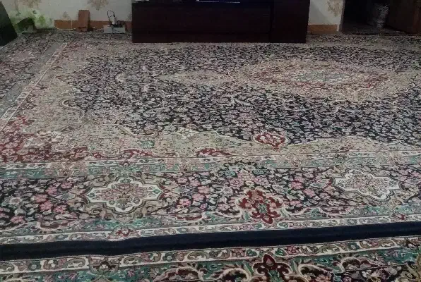 یک جفت فرش 12 متری|فرش|کرمانشاه, |دیوار