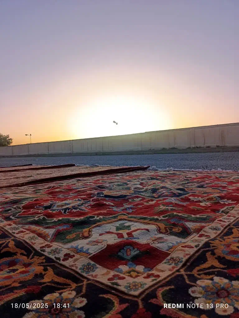 قالیشویی پاکریس|خدمات نظافت|پیشوا, |دیوار