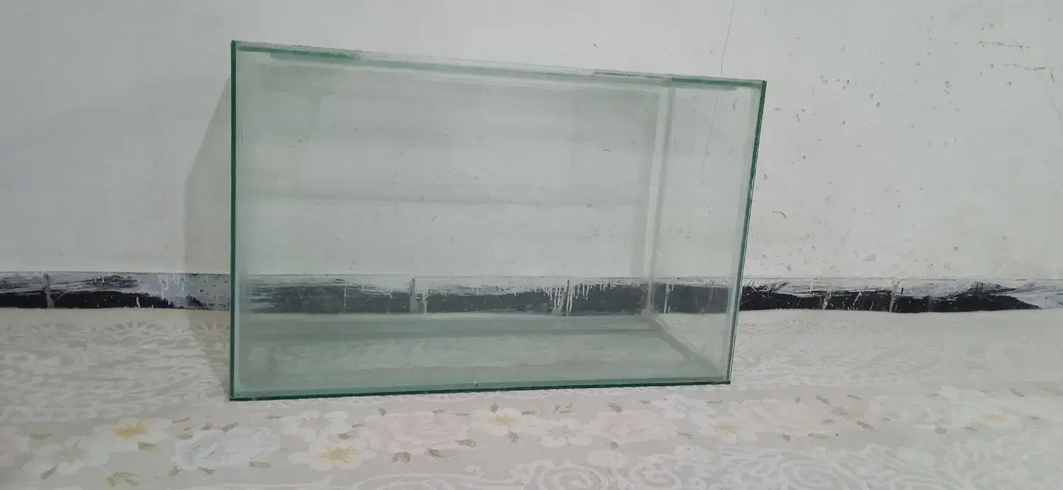 آکواریوم|ماهی|خرم‌آباد, |دیوار