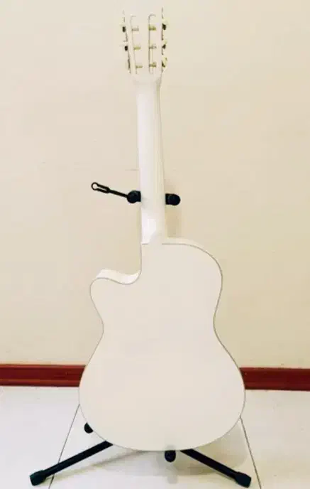 گیتار کلاسیک|گیتار، بیس، امپلیفایر|پارس‌آباد, |دیوار