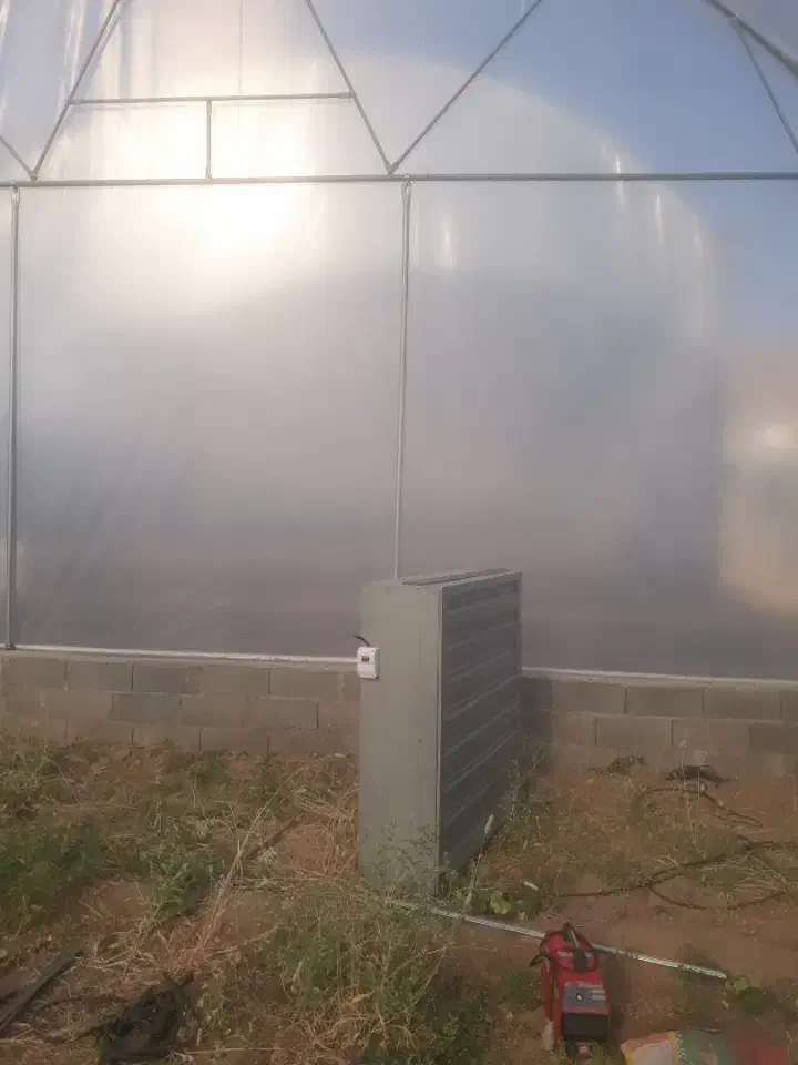 نصب صفر تا صد گلخانه|خدمات پیشه و مهارت|ایذه, |دیوار