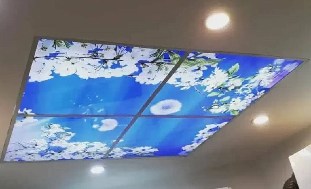 نصاب دیزایین منزل|خدمات پیشه و مهارت|شوشتر, |دیوار