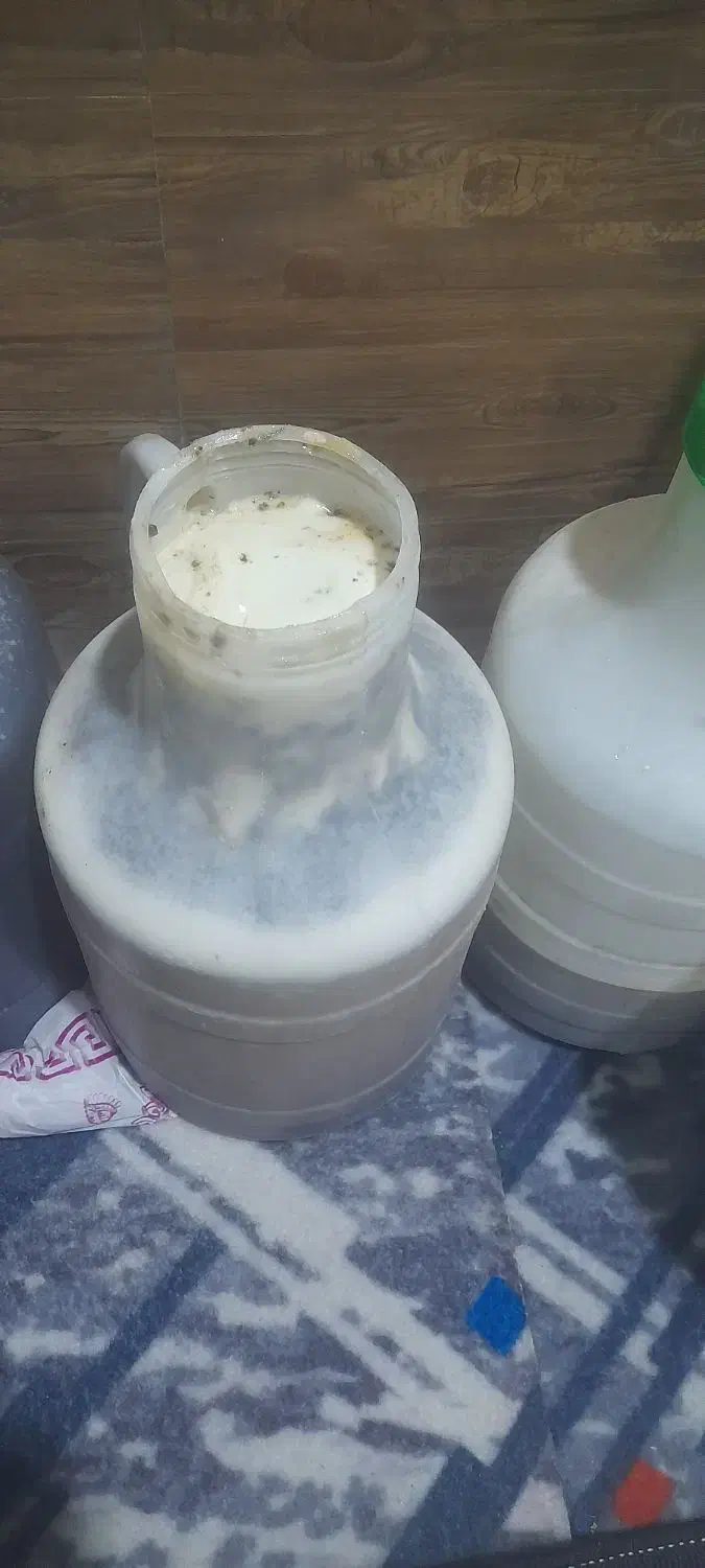 فروش عسل کنار|خوردنی و آشامیدنی|لیکک, |دیوار