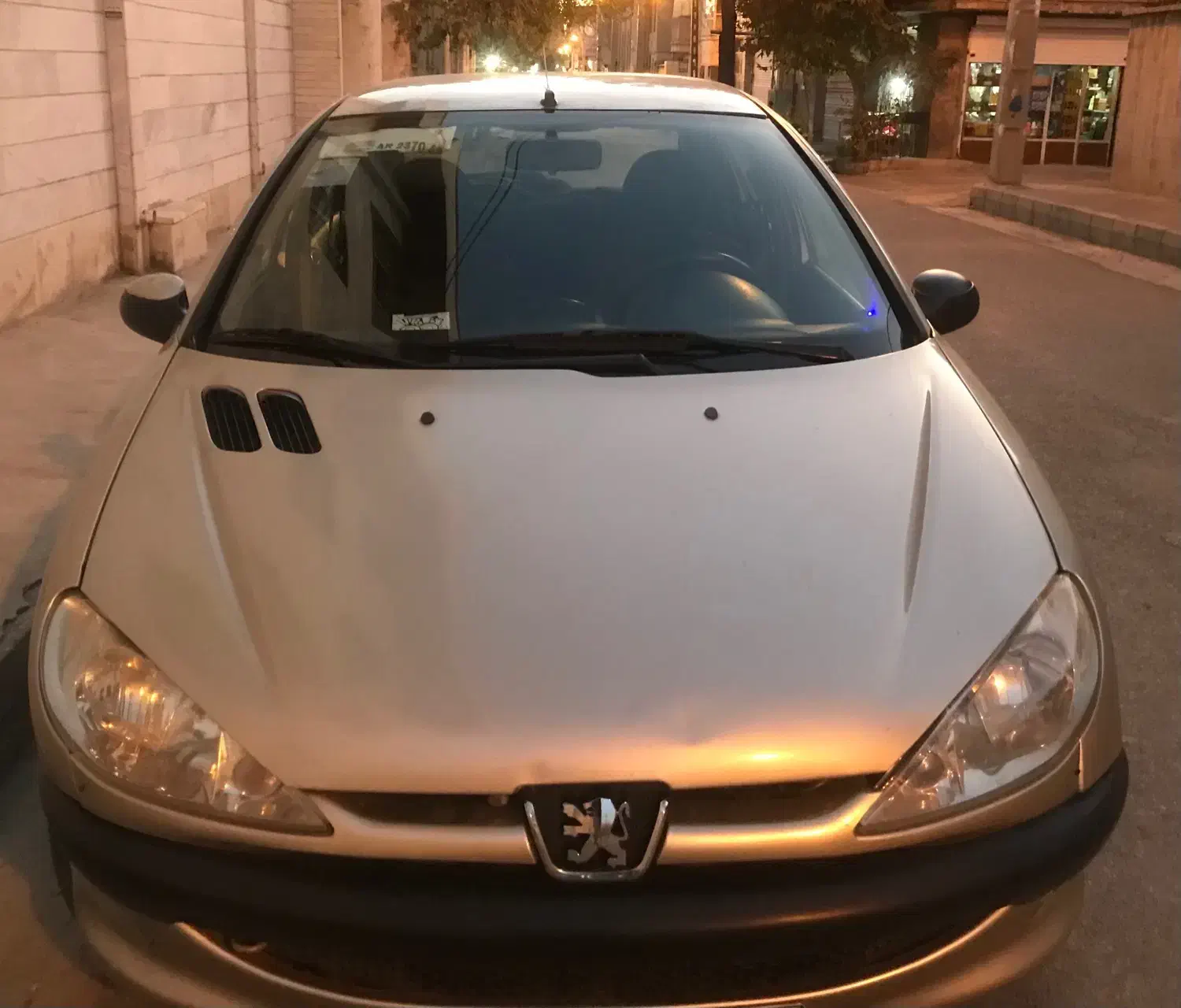 فروش ۲۰۶تیپ دو|خودرو سواری و وانت|کرمانشاه, |دیوار