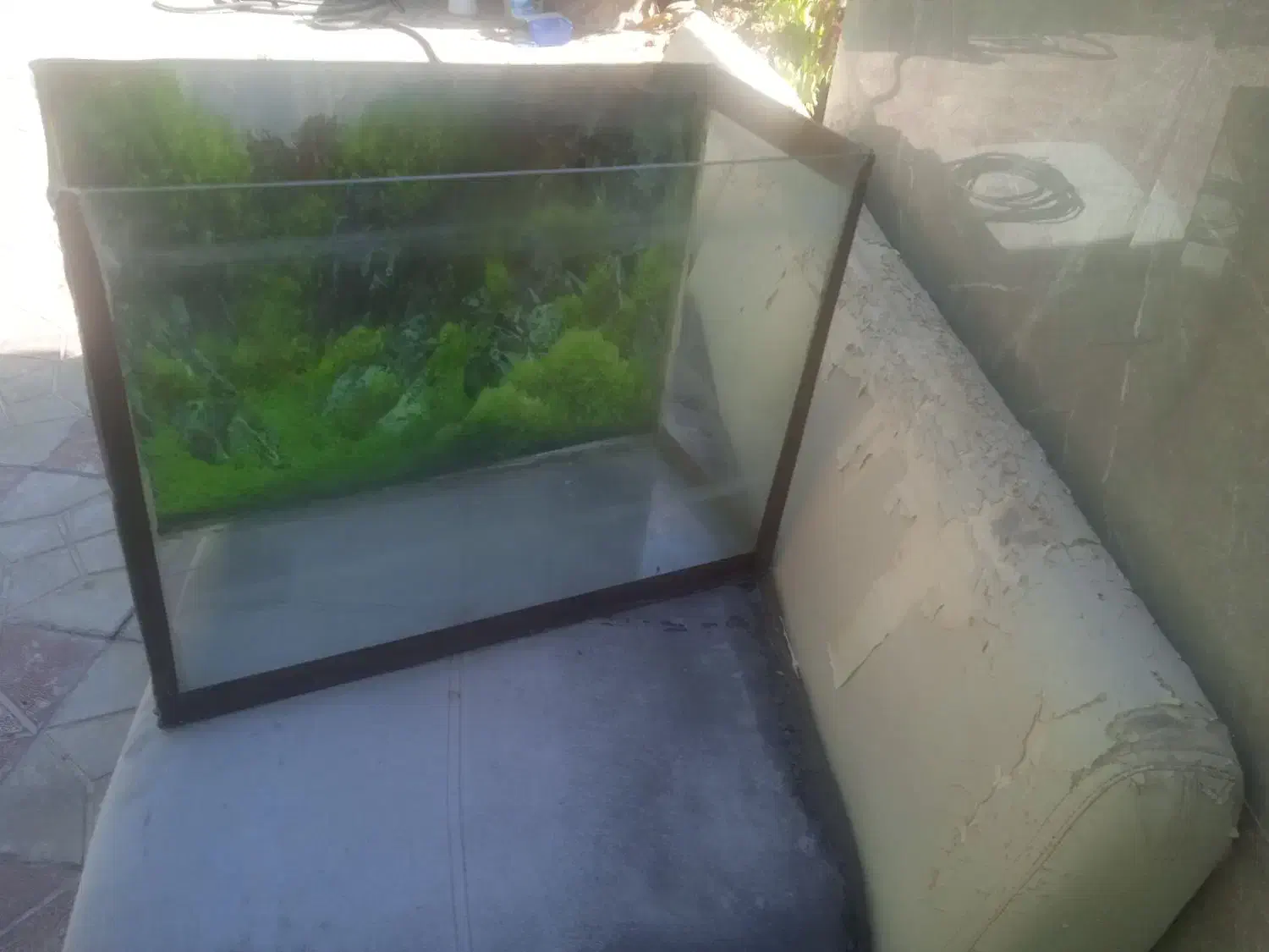 آکواریوم|ماهی|هشتگرد, فشند|دیوار