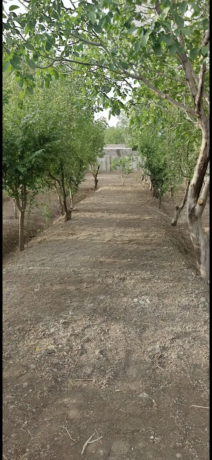 باغ700متری حصارمهتر چهاردیوار قدیمی برخیابان اصلی|فروش زمین و ملک کلنگی|رباط‌کریم, حصار مهتر|دیوار