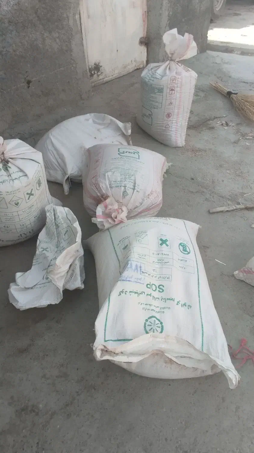 گندم بذریپیشگام|عمدهفروشی|صحنه, |دیوار