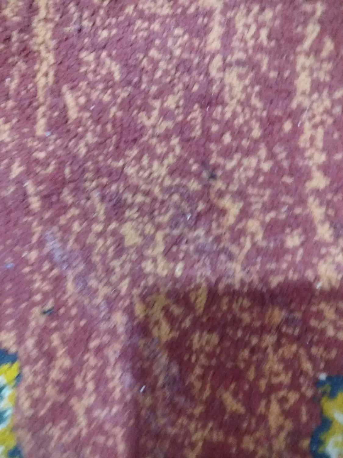 دکه|اجارهٔ مغازه و غرفه|مسجد سلیمان, |دیوار