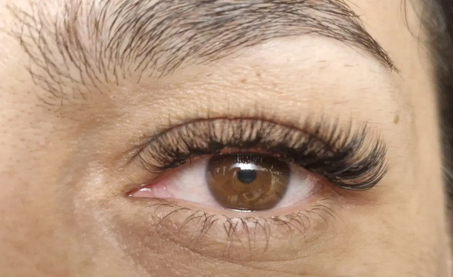 اکستنشن مژه لیفت و لمینت مژه و ابرو|خدمات آرایشگری و زیبایی|رشت, گلباغ نماز|دیوار