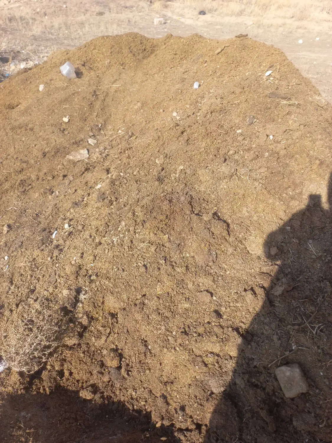 کودگوسفندی|خدمات باغبانی و درختکاری|شیروان (خراسان), |دیوار