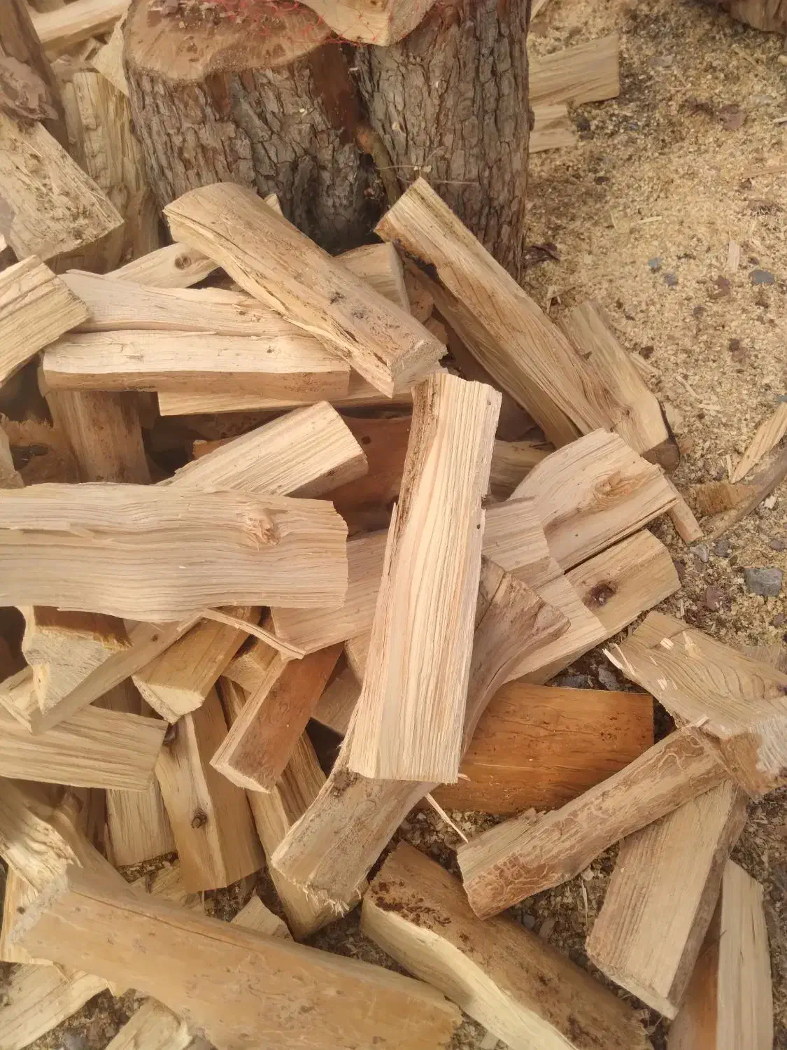 هیزم|خدمات باغبانی و درختکاری|تهران, بوستان چیتگر|دیوار