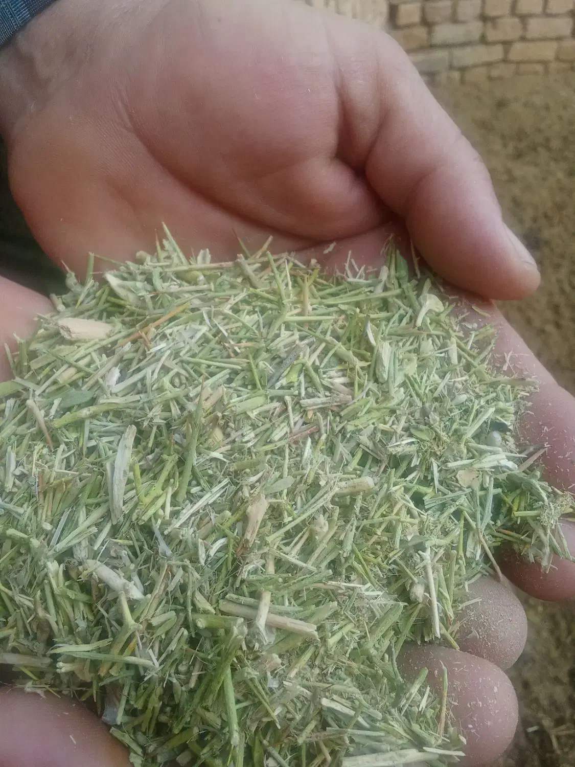 خار|لوازم جانبی حیوانات|تربت‌حیدریه, بالا ولایت|دیوار