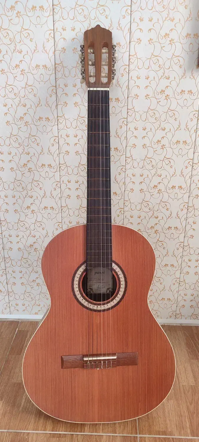 گیتار پارسی m6|گیتار، بیس، امپلیفایر|بندر انزلی, تهران|دیوار