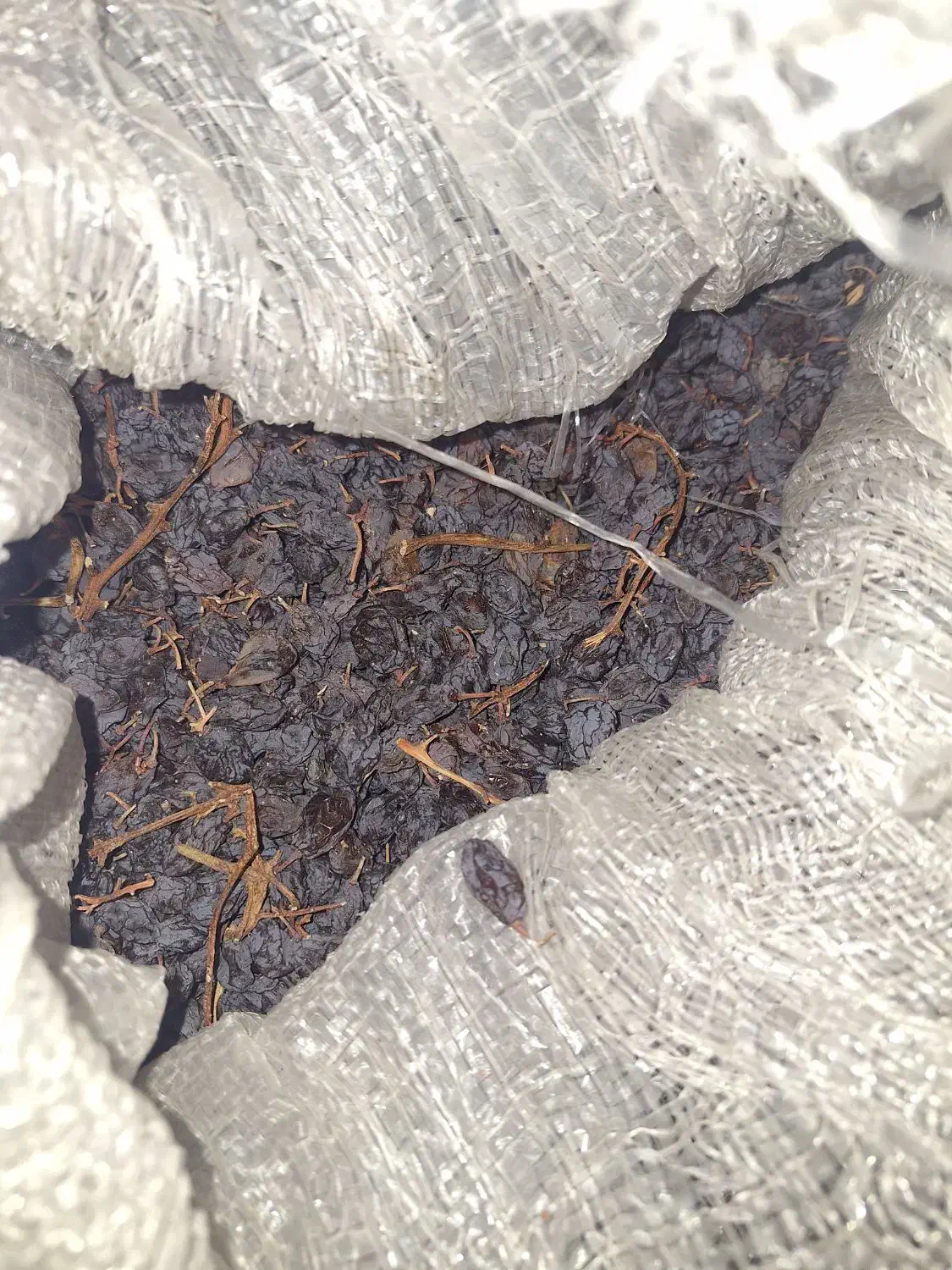 مویز بش آفتاب خشک|عمدهفروشی|همایجان, |دیوار