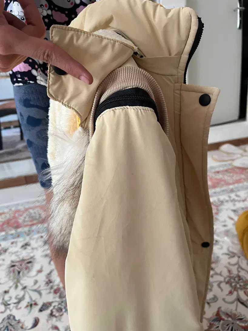 کاپشن دخترانه درحدنو|کفش و لباس بچه|هشتگرد, شهرک کوثر|دیوار