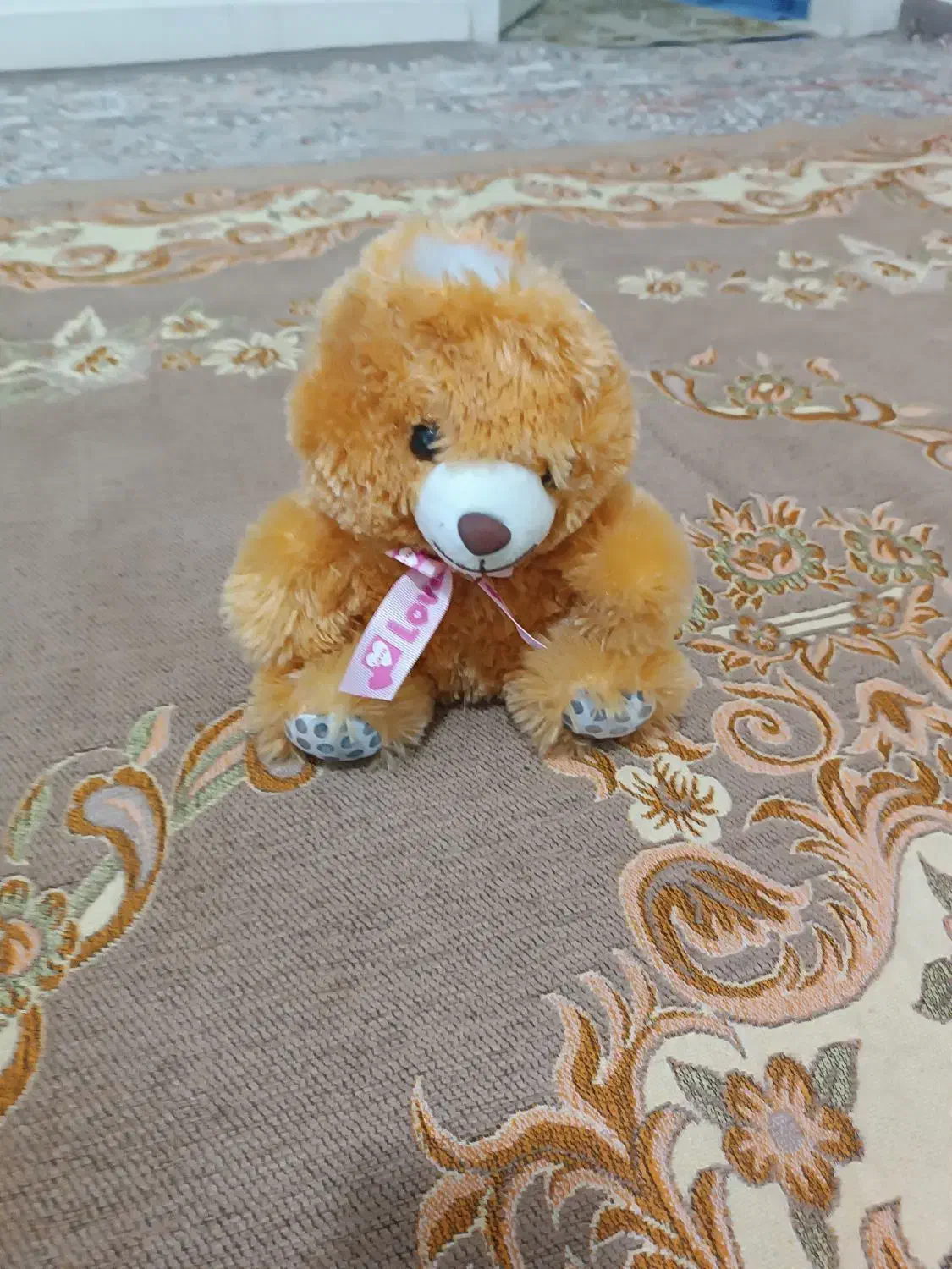 عروسک|اسباب‌بازی بچه|قدس, شهر‌قدس|دیوار