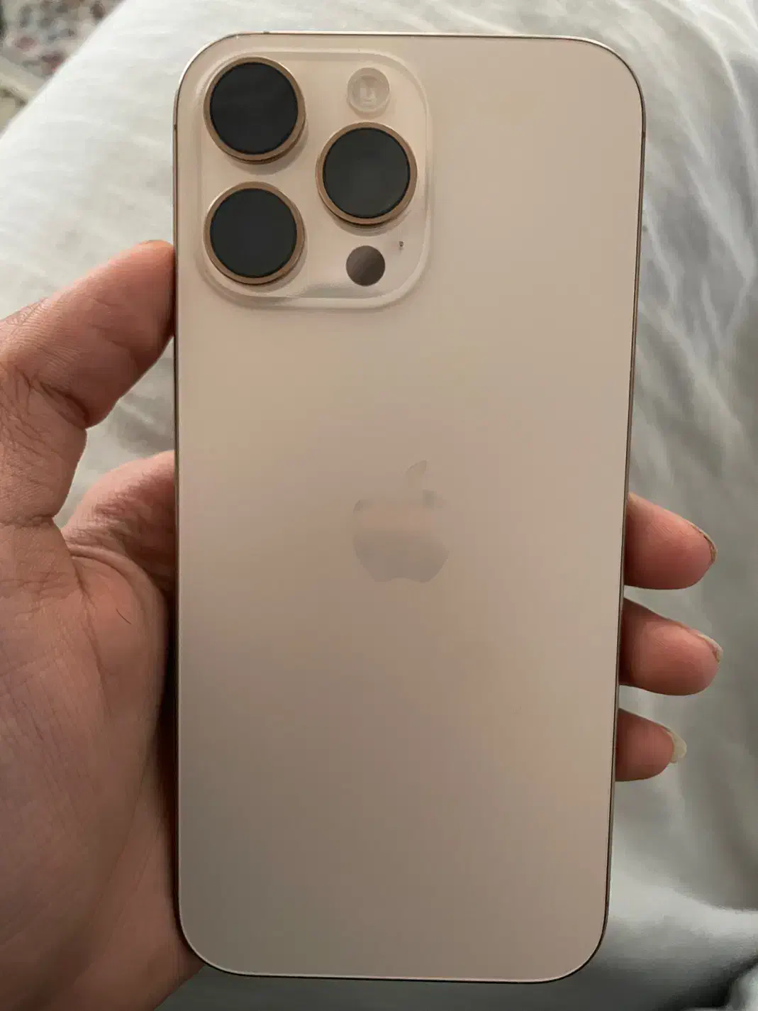 16 Pro Max 256|موبایل|یزد, |دیوار