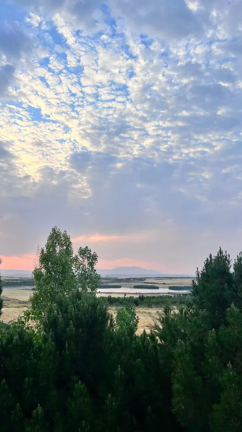 زمین هفت برم|فروش زمین و ملک کلنگی|شیراز, حومه شیراز|دیوار