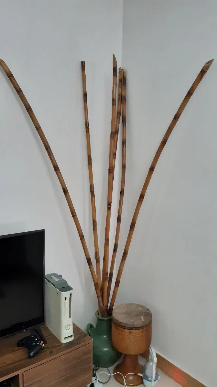 چوب بامبو تزئینی|صنایع دستی و سایر لوازم تزئینی|رشت, پیرکلاچای|دیوار