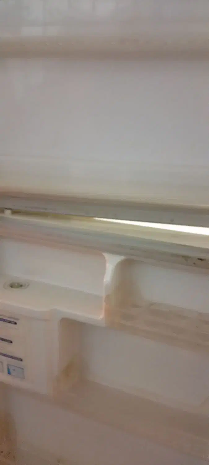 یخچال دوو ۲۵ سالم|یخچال و فریزر|رشت, دروازه لاکان|دیوار