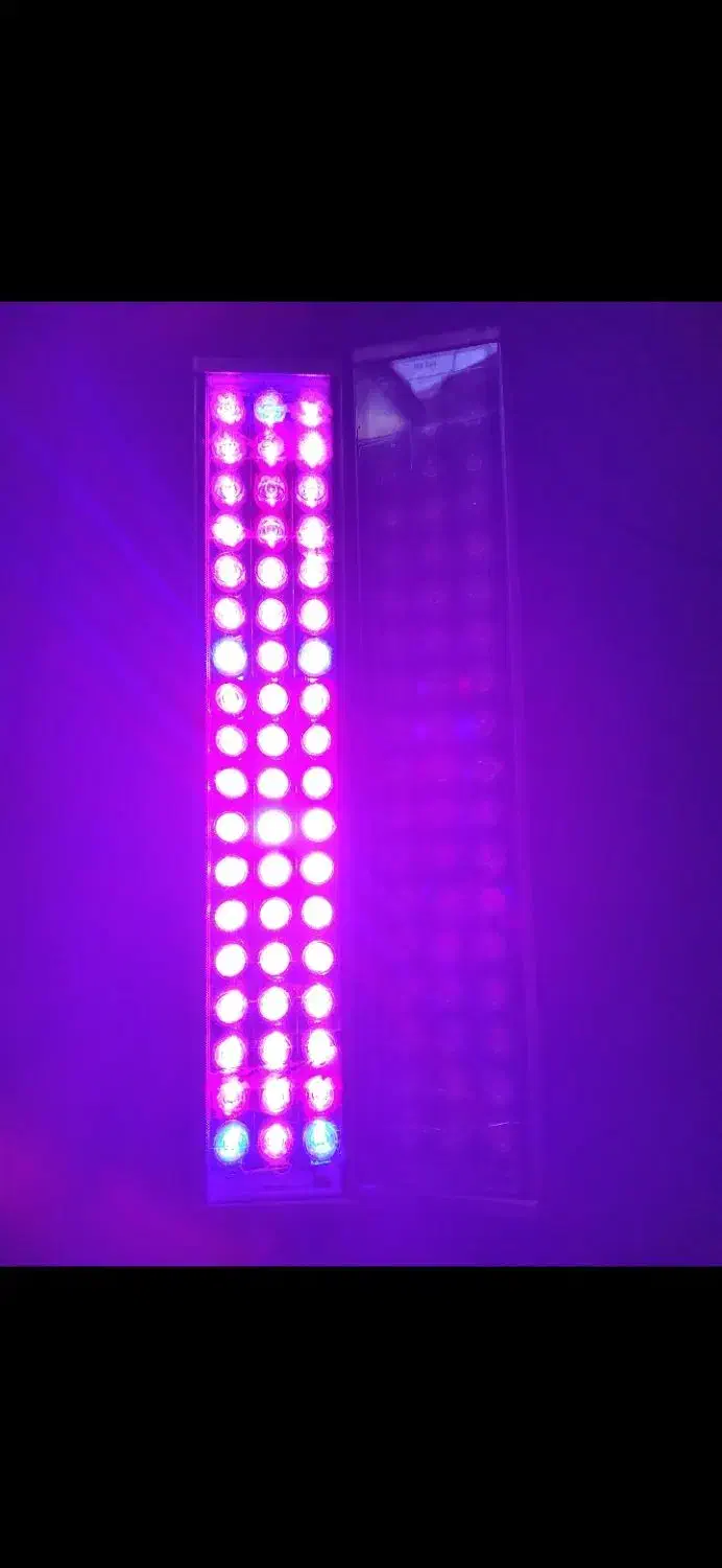 لامپ ال ای دی رشد گیاه|لامپ و چراغ|لنگرود, |دیوار