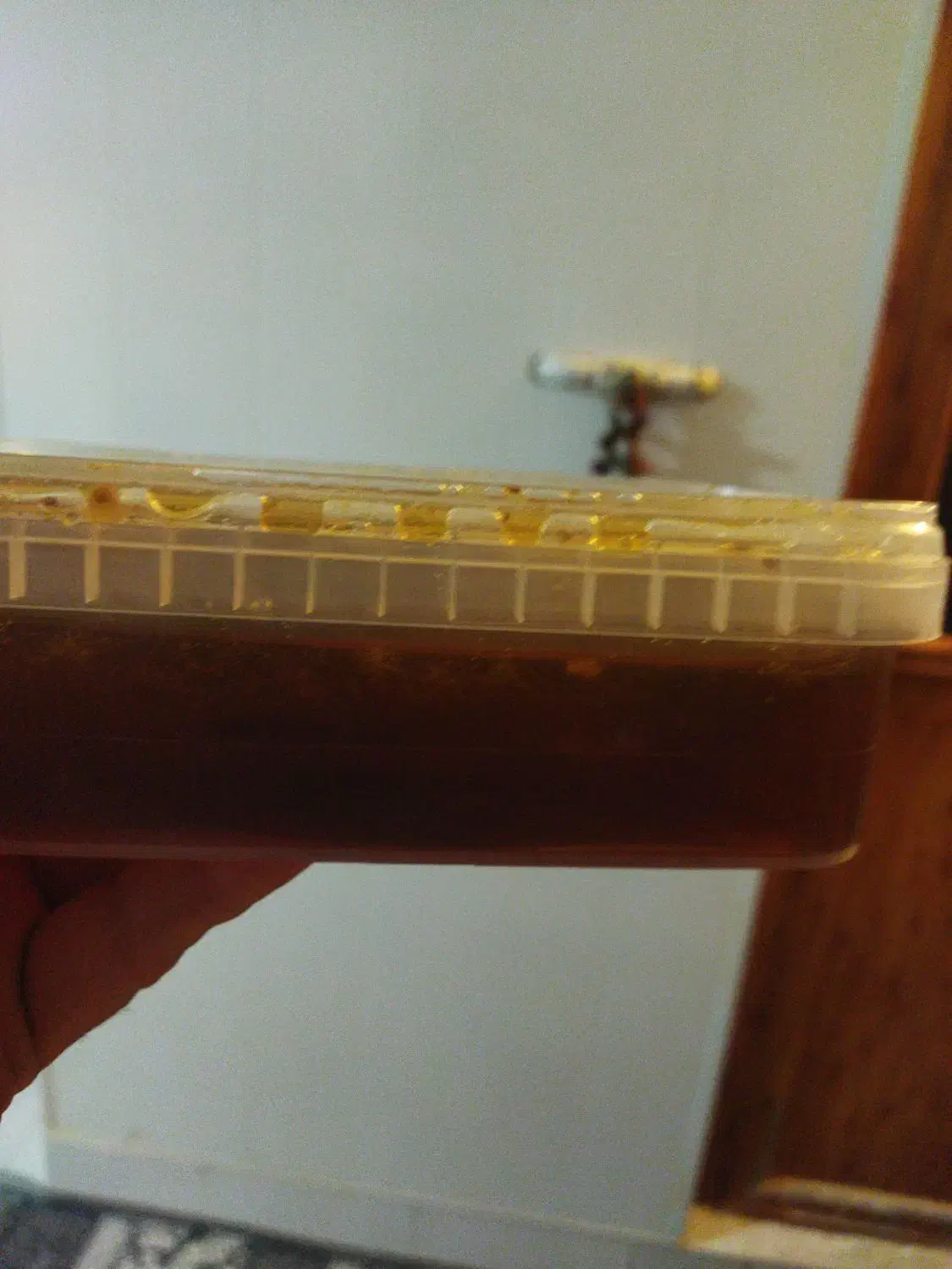 عسل کوه|خوردنی و آشامیدنی|کاشان, سه راه پرورشگاه|دیوار