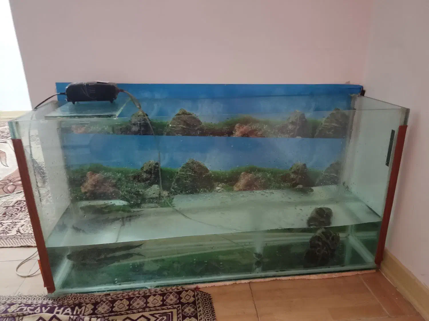 آکواریوم بزرگ|لوازم جانبی حیوانات|پاکدشت, شهرک امام رضا|دیوار