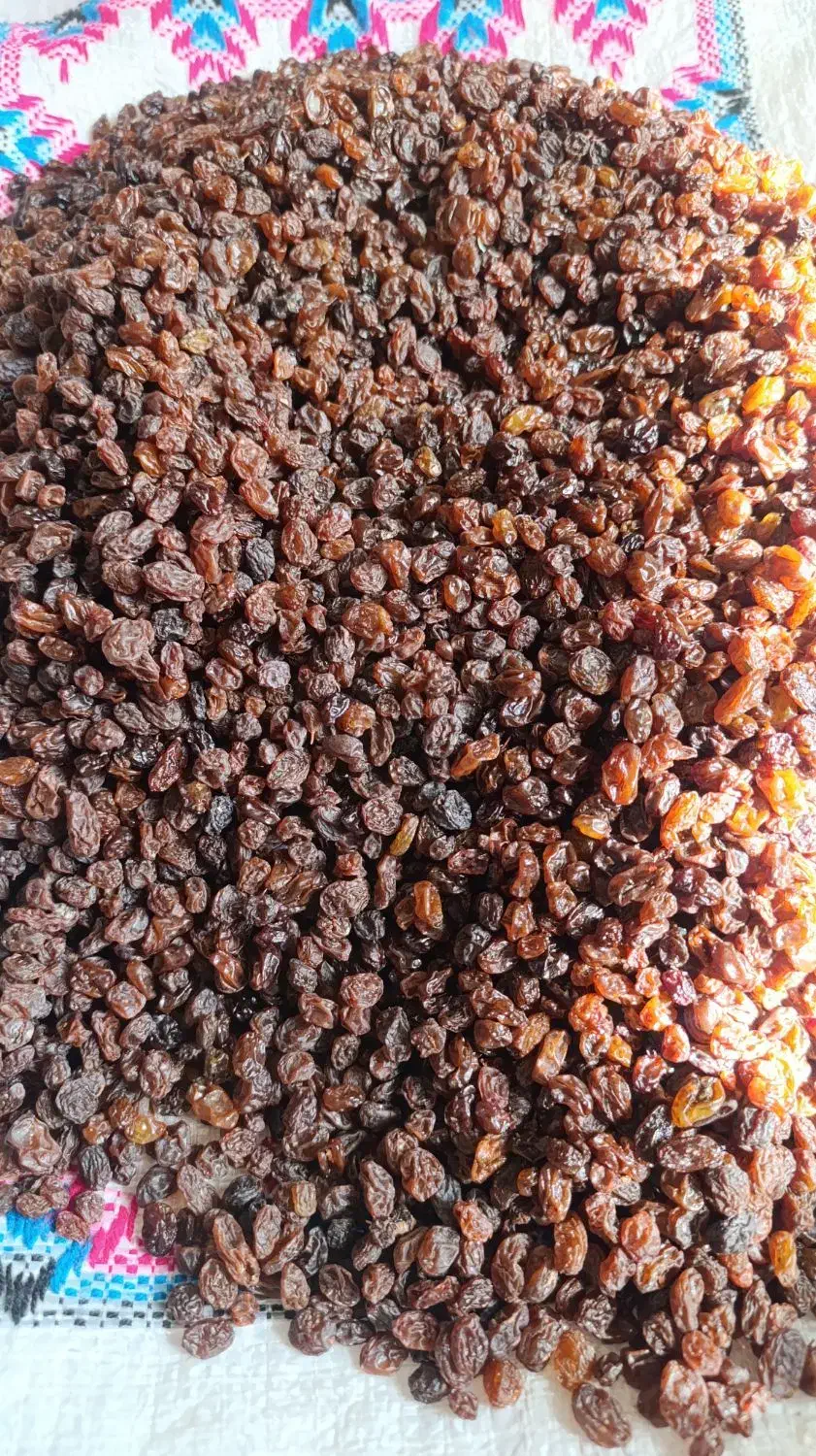 کشمش سیاه بی دونه|خوردنی و آشامیدنی|قم, فرهنگیان و شهربانی|دیوار